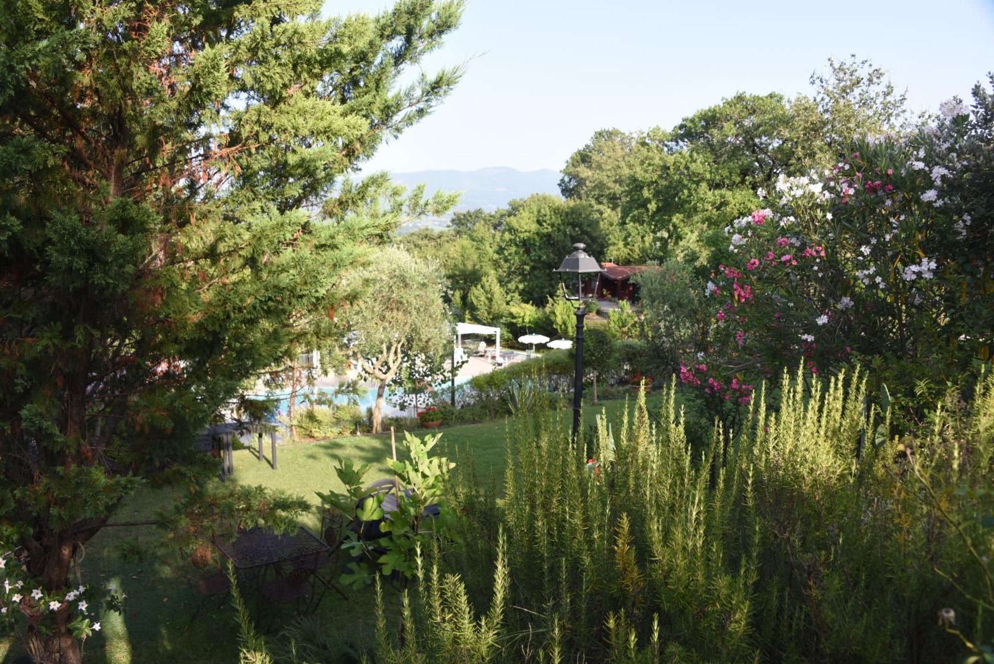 Bosco D'Olmi Country House Sant'Andrea del Garigliano Exterior photo